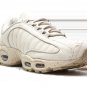 2025 & 2026 Max Tailwind IV SP BEIGE