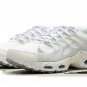 2025 & 2026 Max Terrascape Plus White Pure Platinum