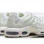 2025 & 2026 Max Terrascape Plus White Pure Platinum