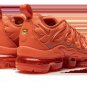 2025 & 2026 VAPORMAX PLUS WMNS