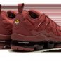 2025 & 2026 VAPORMAX PLUS WMNS Burgundy