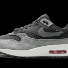 Nike 2025 & 2026 Max 1 PRM Smoke Grey