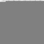 2025 & 2026 Dunk High &iuml;&frac14;�Electric&iuml;&frac14;�