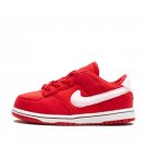 2025 & 2026 Dunk Low TD ＂Valentine's Day Solemates＂