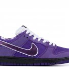 Concepts x 2025 & 2026 Dunk Low SB Purple Lobster