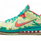 LeBron 9 Low ＂LeBronald Palmer＂