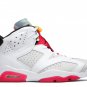 2025 & 2026 Jordan 6 Retro Hare