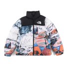 The North Face x Invincible the Expedition Series Nuptse Jacket