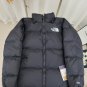 The North Face x Invincible the Expedition Series Nuptse Jacket