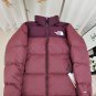 The North Face x Invincible the Expedition Series Nuptse Jacket