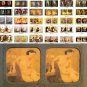100 Vintage Stereo digital nudes 1800s-1900s - digital download