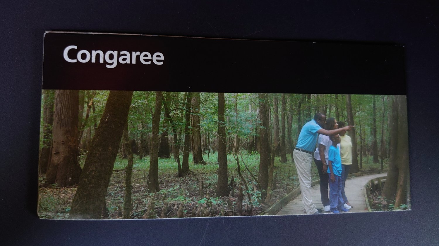 Official NPS Brochure Congaree National Park Information Map Guide