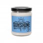 Sunshine And Whiskey, Scented Soy Candle, 9oz Cinnamon Vanilla