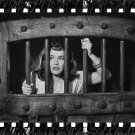 The Lady Has Plans 1942 Director Sidney Lanfield Stars Ray Milland, Paulette Goddard