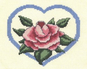 Hepburn Pink Rose