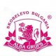 Alba Grups