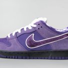 Dunk Low Concepts Purple Lobster