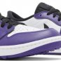 Jordan 1 Low Golf Court Purple DD9315 105