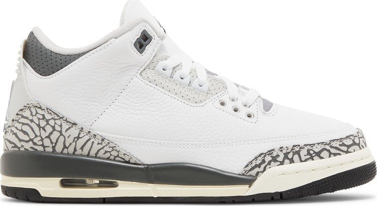 Jordan 3 Retro GS Hide N' Sneak DX6665-100