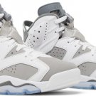 Jordan 6 Retro Cool Grey CT8529 100