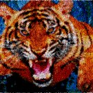 Tiger Poucing | Rug Making Latch Hooking Kit