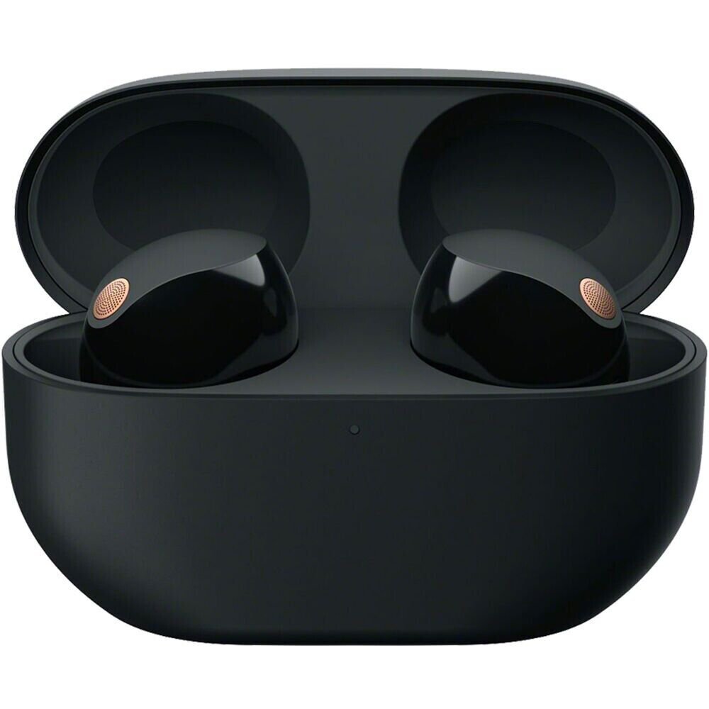 Sony WF-1000XM5 True Wireless Noise Cancelling Earbuds (Black)