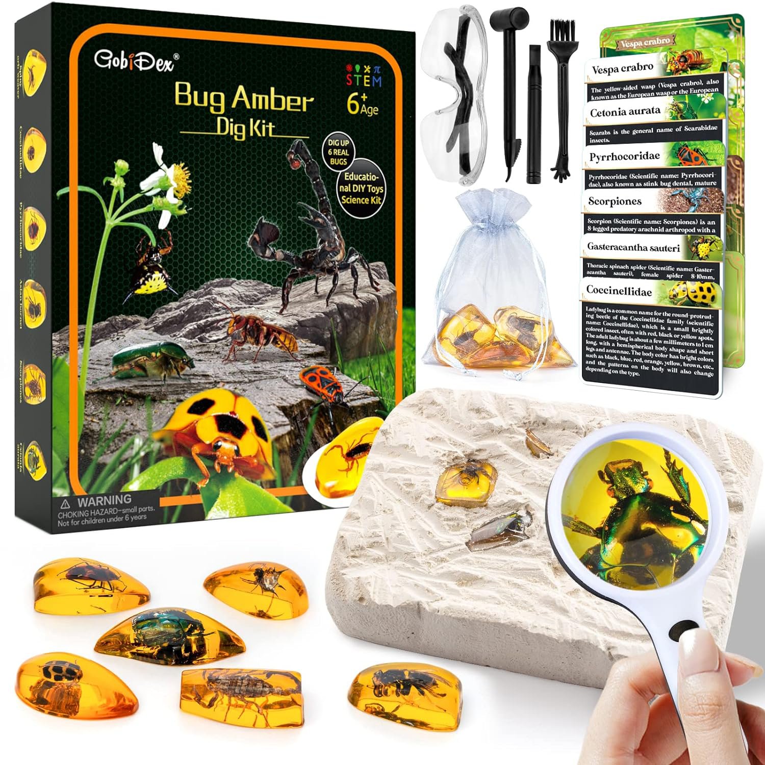 Amber Dig Kit-Artificial Insect Resin, Excavate 6 Insects Specimens, Stem Geographic Educational B