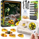 Amber Dig Kit-Artificial Insect Resin, Excavate 6 Insects Specimens, Stem Geographic Educational B