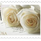 Set of 200 White Rose Wedding Commemorative Stamps