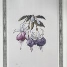 Cross Stitch Pattern-Blue Fuschsia-The Silver Lining