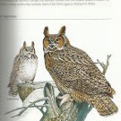 National Geographic Complete BIRDS of North America-Exclusive Edition-Companion