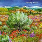 Sagebrush Country-A Wildflower Sanctuary by Ronald J. Taylor
