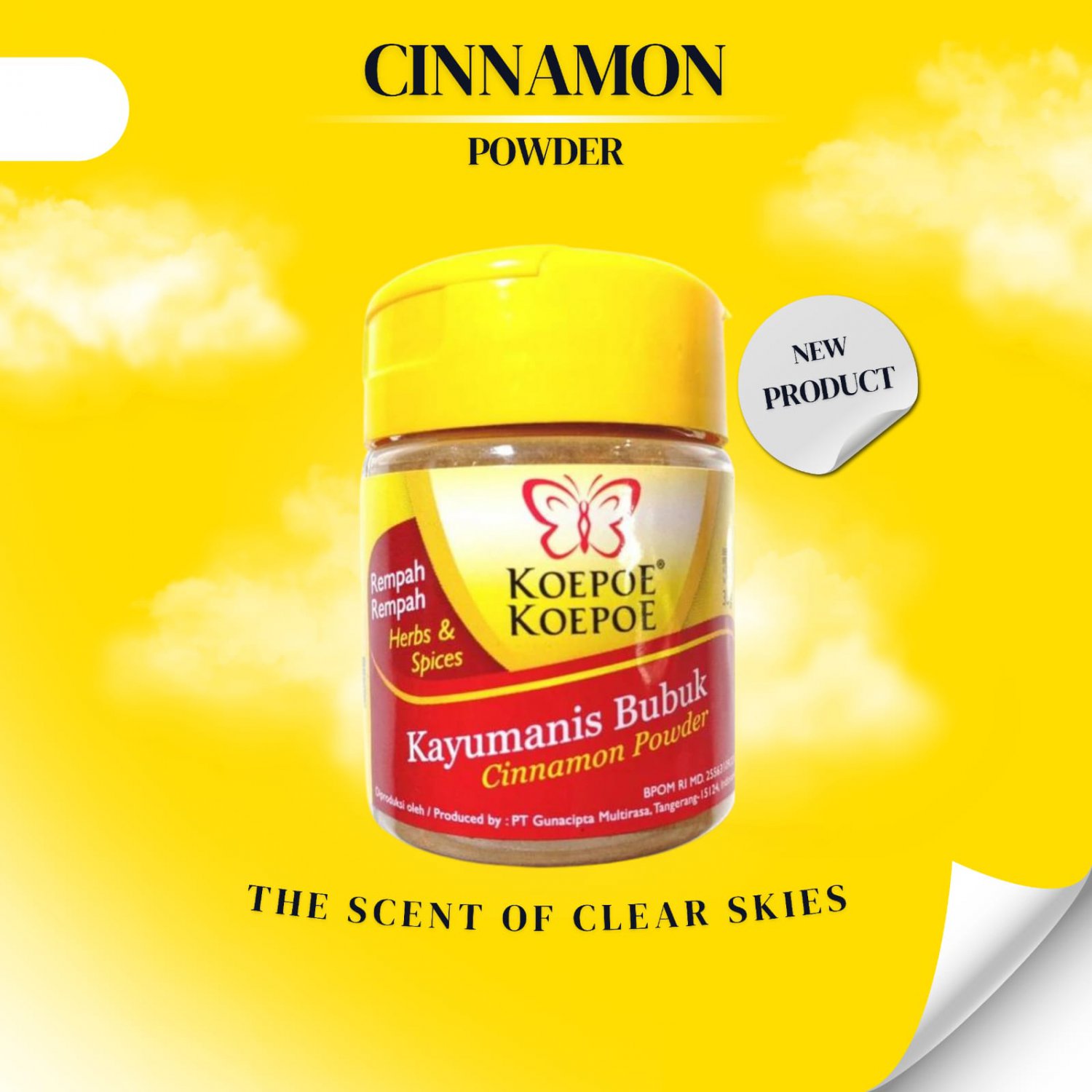 Cinnamon Powder