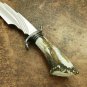 Stag Antler D2 Steel Knife, Hunting Knife Gift for Him, Collectible Knife Best Gift for Husband
