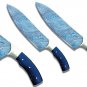 Professional Chef Knife, Damascus Kitchen Knife, Full Tang Sharp Cutting Edge (Chef Knife)