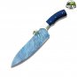 Professional Chef Knife, Damascus Kitchen Knife, Full Tang Sharp Cutting Edge (Chef Knife)
