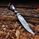 Custom Handmade Damascus Hunting knife with Stag Crown Handle, Anniversary gift for men