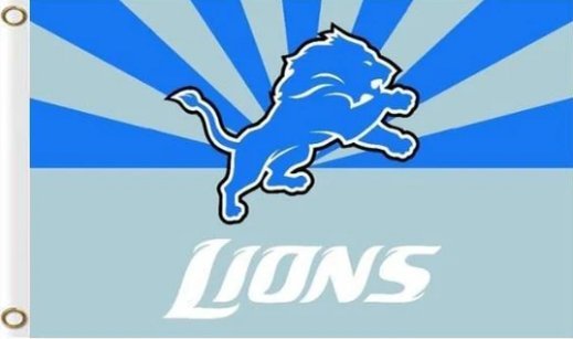 Detroit Lions Team Sundays Are For The LIONS Flag 90x150cm 3x5ft Banner