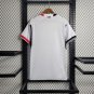 Benfica Jersey 23 24 Away Soccer Jersey
