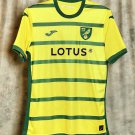 Norwich City 2023 2024 Jersey Home Men's Football Soccer Shirt Jersey 23 24