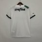 Palmeiras Jersey 23 24 Away Soccer Jersey Palmeiras