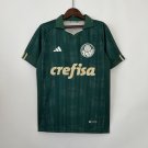 Palmeiras Jersey 23 24 Edition Soccer Jersey Palmeiras