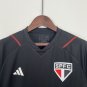 Sao paulo Jersey 23 24 Training New Soccer Jersey Sao paulo