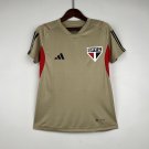Sao paulo Jersey 23 24 Training New Soccer Jersey Sao paulo