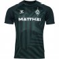 Werder Bremen Jersey 2023 2024 Away Men's Football Soccer Shirt Jersey 23 24