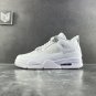 Air Jordan 4  Retro Pure Money (2017)