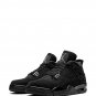 Air Jordan 4 Retro Black Cat 2020 sneakers