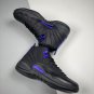 jordan 12 &Atilde;&cent;&Acirc;�&Acirc;�dark concord&Atilde;&cent;&Acirc;�&Acirc;� ct8013-005