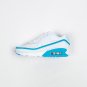 nike air max 90 whiteblue fury