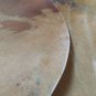 Drum Head, Horse Rawhide Skin Leather, Shamanic, Djembe, Bongo, Conga, Bodhran